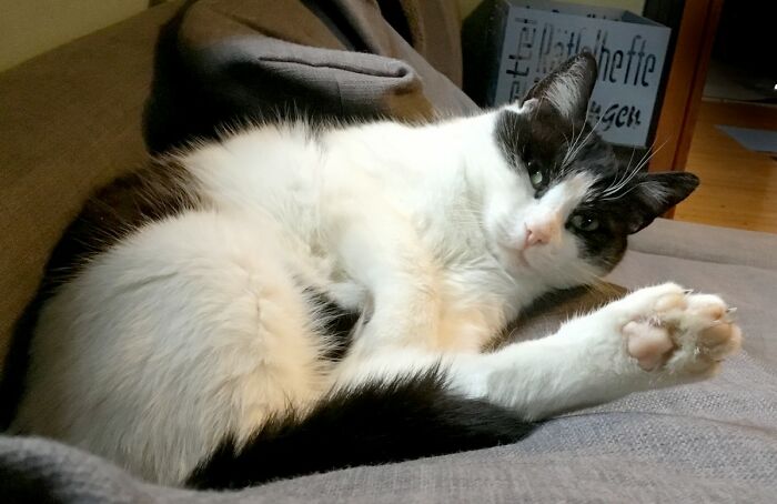 Here's Winnie Showing Off Her Beans