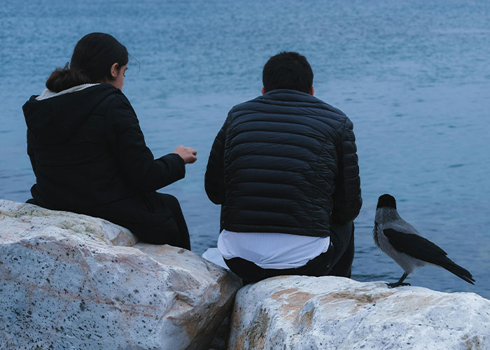 Groundbreaking Study Reveals Crows Can Count&mdash;And Out Loud, No Less