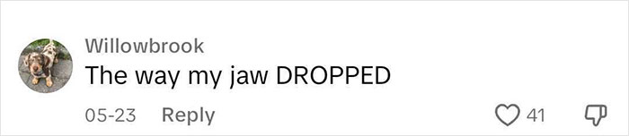 People Can&rsquo;t Believe How Bad A Bride&rsquo;s Gown Turned Out: &ldquo;Call The Police And A Math Teacher&rdquo;