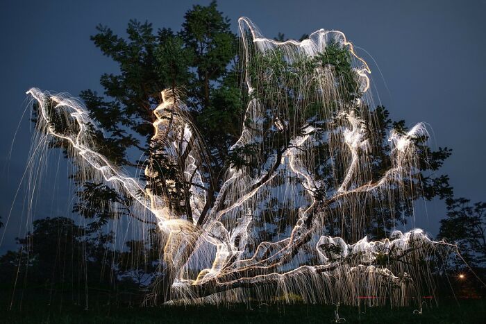 Light Drips From Trees In Long-Exposure Photos By Vitor Schietti (21 Pics)