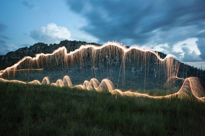 Light Drips From Trees In Long-Exposure Photos By Vitor Schietti (21 Pics)