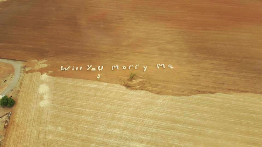 Girlfriend Can&rsquo;t Hold Her Tears Back After Farmer Carves &ldquo;Marry Me&rdquo; Into His Field At Golden Hour