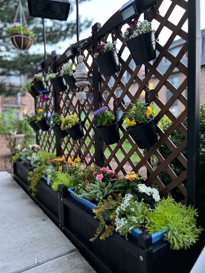  Wood Planter Boxes With Diamond Lattice Trellis Are A Great Option To Create A Divide Without Putting Up A Permanent Structure 