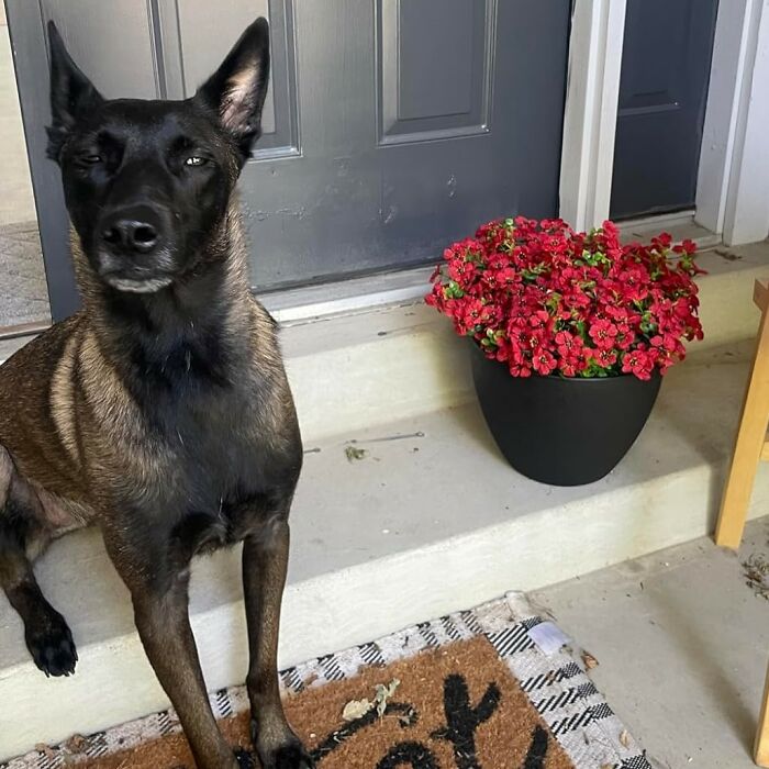 This Collection Of Outdoor Garden Planters Are A Chic Upgrade To Regular Plastic Pots