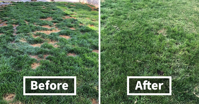 These 44 Fabulous Finds Will Make You Want To Live In Your Backyard This Summer