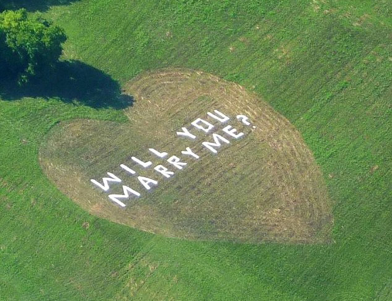 Girlfriend Can&rsquo;t Hold Her Tears Back After Farmer Carves &ldquo;Marry Me&rdquo; Into His Field At Golden Hour