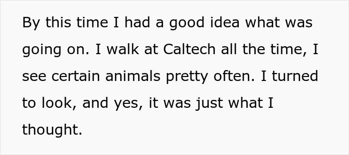 Woman Left Confused After Entitled Man Yells At Her To Put A Leash On Coyote
