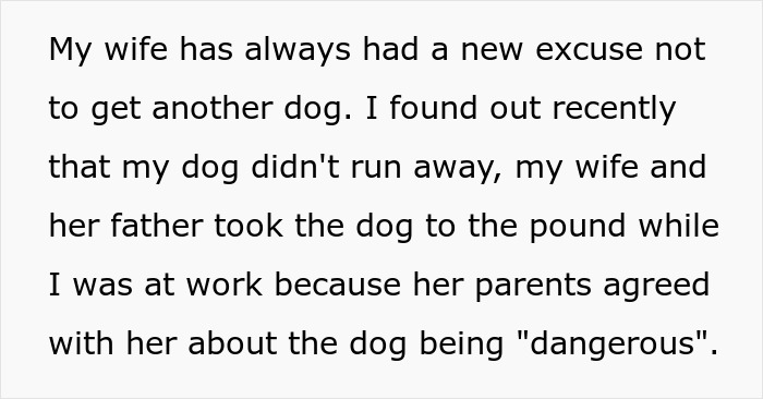 Man Thinks His Dog Ran Away 5 Years Ago, Considers Divorce After Learning What Really Happened