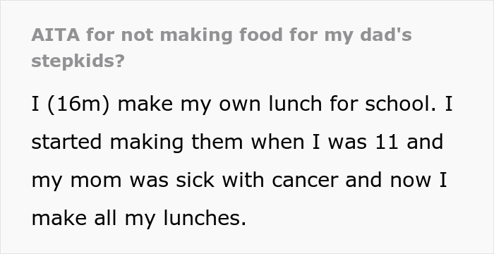 16YO Tells Stepmom It&rsquo;s Not His Job To Feed Her Kids, She Blows Up At Him