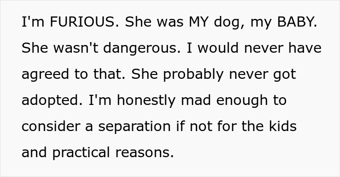 Man Thinks His Dog Ran Away 5 Years Ago, Considers Divorce After Learning What Really Happened