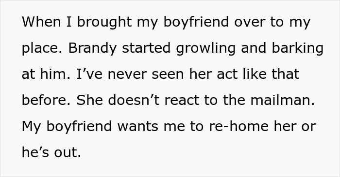 &ldquo;Re-Home Her Or He&rsquo;s Out&rdquo;: Entitled BF Makes Demands About Woman&rsquo;s Dog, Regrets It