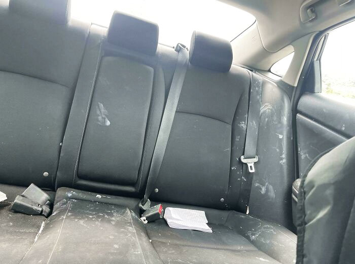 My Kid Had A Party In The Back Of The Car Yesterday With The Mineral Sunscreen