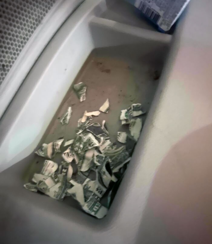 Shredded money inside a car door compartment, illustrating parents having a pretty miserable day scenario.