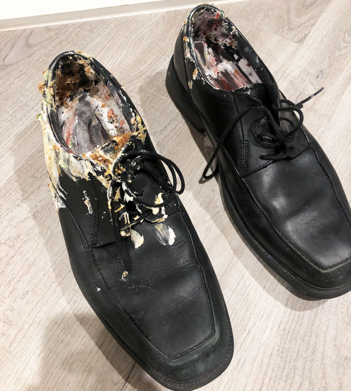 Black dress shoes with extensive damage and chew marks showing a pretty miserable day for parents dealing with kids' messes.