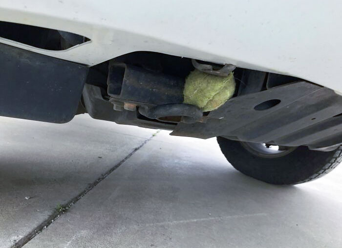 So Apparently, My 2-Year-Old Has Decided To Play Hide-And-Seek With My Border Collie's Favorite Tennis Ball. Throwing It Is Clearly Not Enough Fun