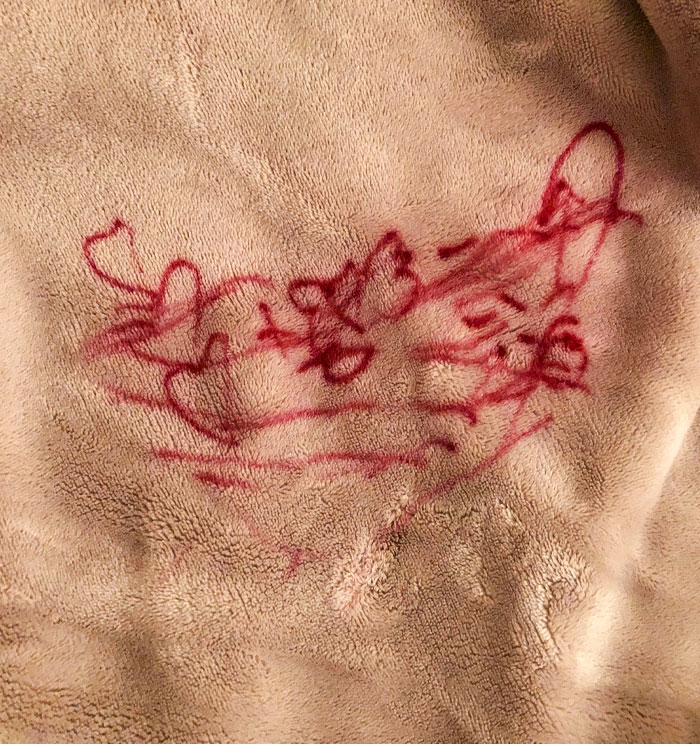 That's Some Red Sharpie. Don't Have Kids 