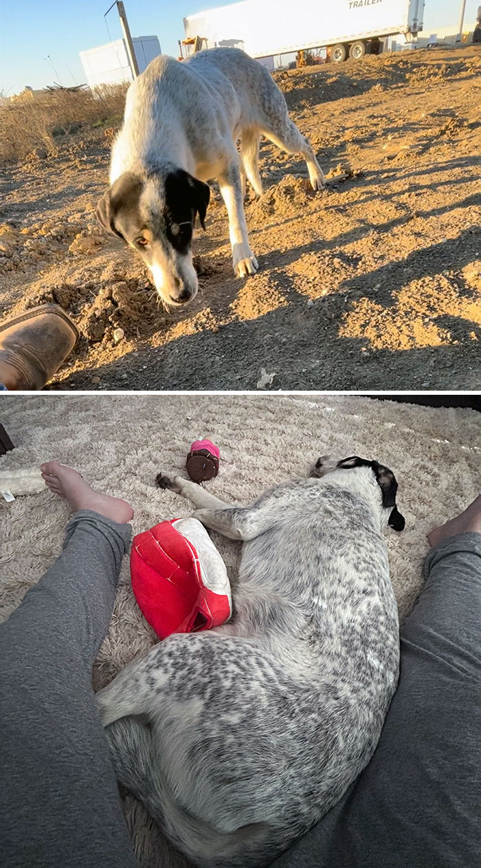 Dustydoll Before vs. After