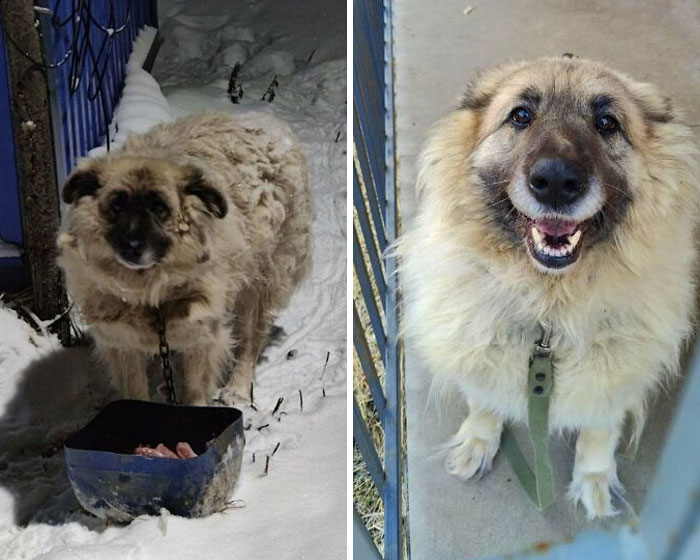 Before And After From Milly