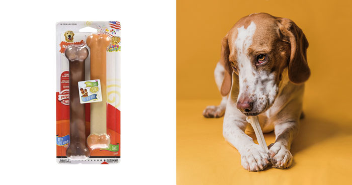 The Best Bones For Dogs, According To Vet