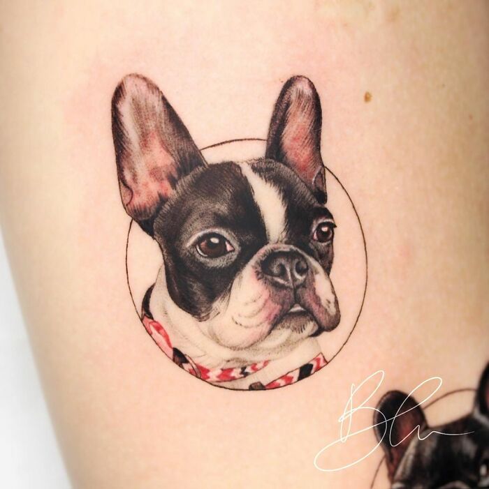 Cute pet portrait tattoo of a French Bulldog in a circle design.