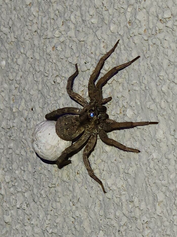 Took A Couple Dozen Photos Of This Girl Outside My House And This Was One Of Them