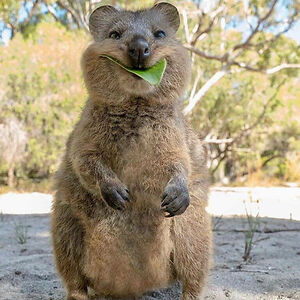 writingmadness13 avatar