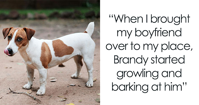 “Re-Home Her Or He’s Out”: Entitled BF Makes Demands About Woman’s Dog, Regrets It