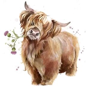 katiealbamorgana avatar