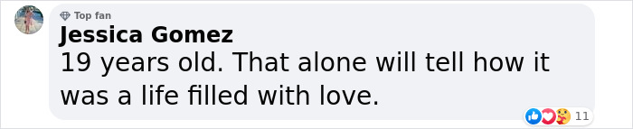 End Of An Era: Beloved “Doge” Meme Dog Kabosu Passes Away At Age 18 End Of An Era: Beloved “Doge” Meme Dog Kabosu Passes Away At Age 18