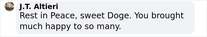 End Of An Era: Beloved “Doge” Meme Dog Kabosu Passes Away At Age 18 End Of An Era: Beloved “Doge” Meme Dog Kabosu Passes Away At Age 18