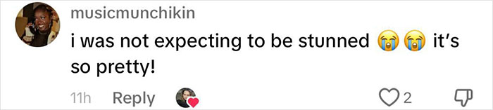 Woman Shares Pros And Cons Of Living Inside A Four-Bedroom 3D-Printed Home