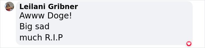 End Of An Era: Beloved “Doge” Meme Dog Kabosu Passes Away At Age 18 End Of An Era: Beloved “Doge” Meme Dog Kabosu Passes Away At Age 18