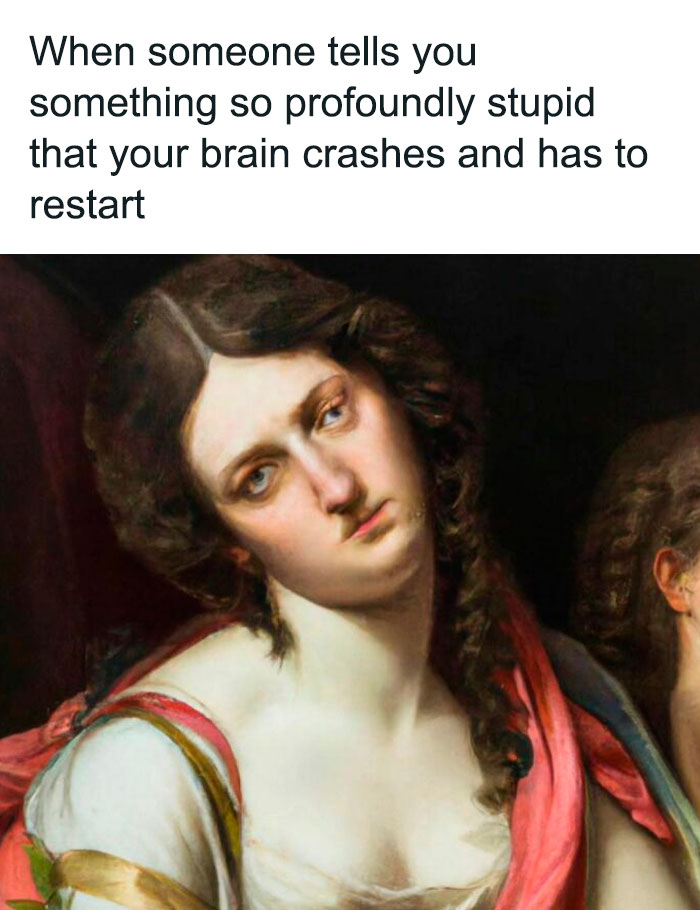 Classical art meme of a woman staring blankly with text about a brain crash from hearing something stupid.