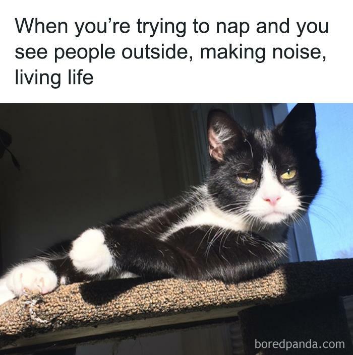 Random-Relatable-Memes-Spillthememes