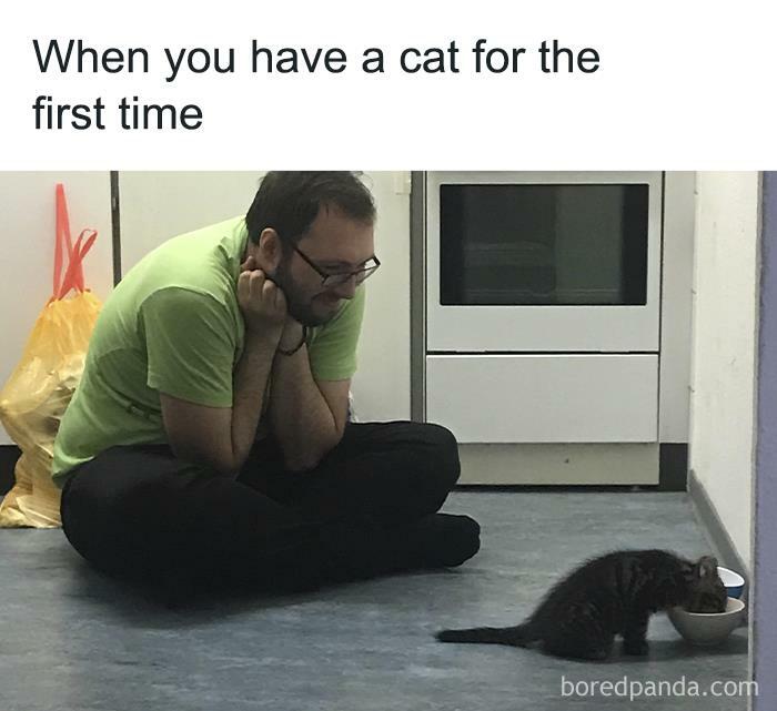 Random-Relatable-Memes-Spillthememes