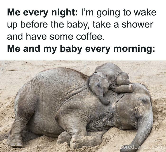 Random-Relatable-Memes-Spillthememes