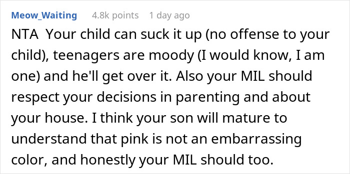 Guy Decides Not To Change Color Of The House He Bought, His Teen Son Struggles With It Years Later