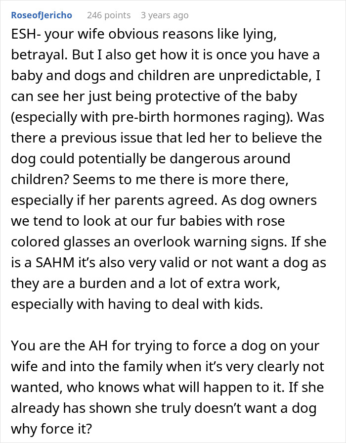 Man Thinks His Dog Ran Away 5 Years Ago, Considers Divorce After Learning What Really Happened