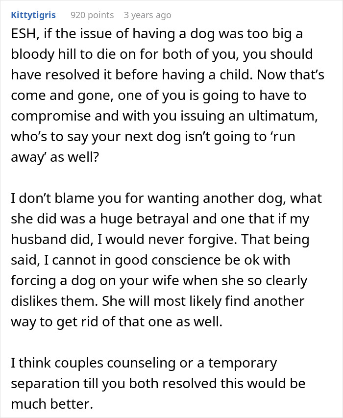 Man Thinks His Dog Ran Away 5 Years Ago, Considers Divorce After Learning What Really Happened