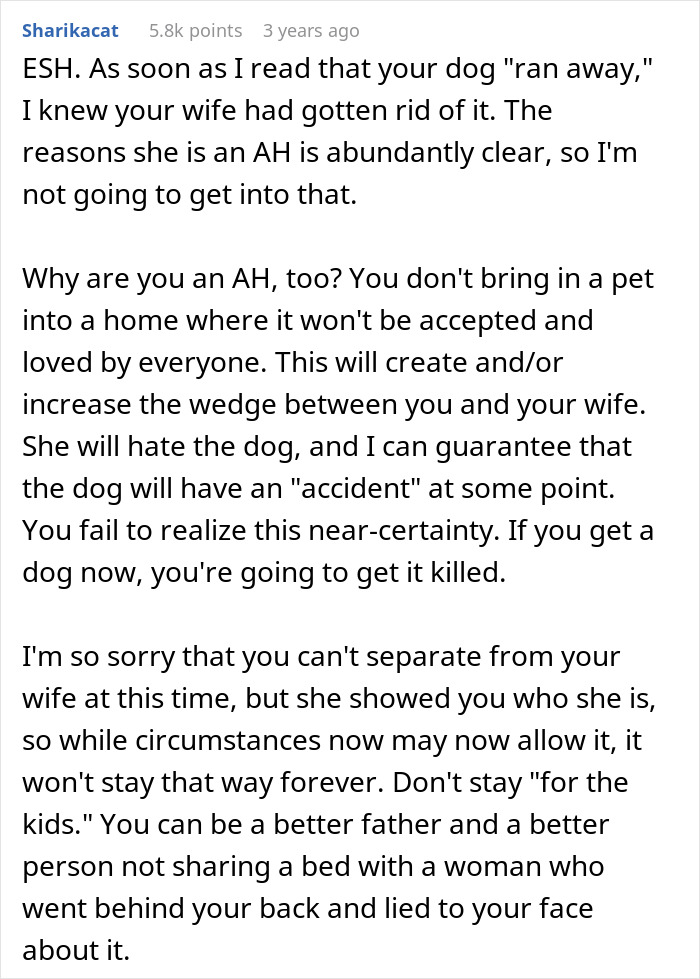 Man Thinks His Dog Ran Away 5 Years Ago, Considers Divorce After Learning What Really Happened