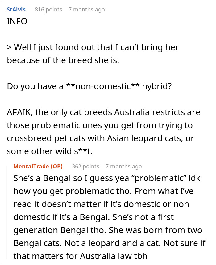 Woman Refuses To Leave Behind Her Cat To Travel Australia For A Year, Gets Dumped