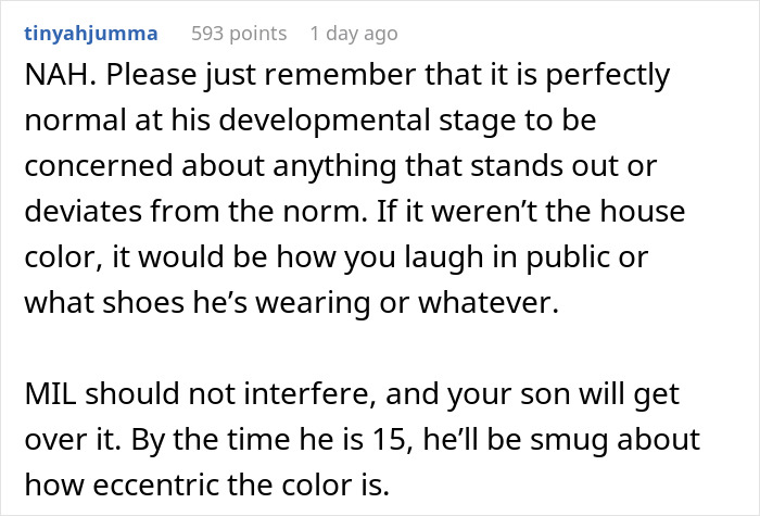 Guy Decides Not To Change Color Of The House He Bought, His Teen Son Struggles With It Years Later