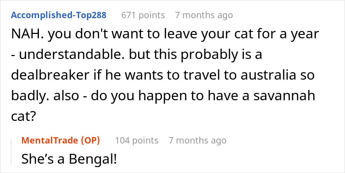 Woman Refuses To Leave Behind Her Cat To Travel Australia For A Year, Gets Dumped
