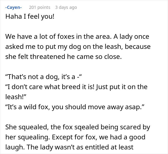 Woman Left Confused After Entitled Man Yells At Her To Put A Leash On Coyote