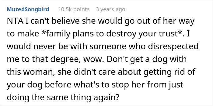 Man Thinks His Dog Ran Away 5 Years Ago, Considers Divorce After Learning What Really Happened