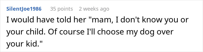 Parent Wants Service Dog Moved For "Baby Boy's" Window Seat, Gets A Reality Check