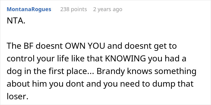 &ldquo;Re-Home Her Or He&rsquo;s Out&rdquo;: Entitled BF Makes Demands About Woman&rsquo;s Dog, Regrets It