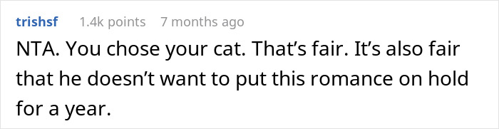 Woman Refuses To Leave Behind Her Cat To Travel Australia For A Year, Gets Dumped