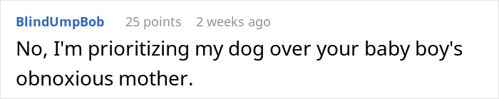 Parent Wants Service Dog Moved For "Baby Boy's" Window Seat, Gets A Reality Check