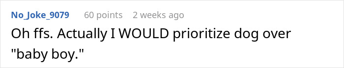 Parent Wants Service Dog Moved For "Baby Boy's" Window Seat, Gets A Reality Check